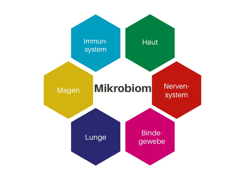 Mikrobiom